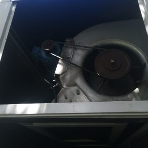 IMG-20260314-WA0019